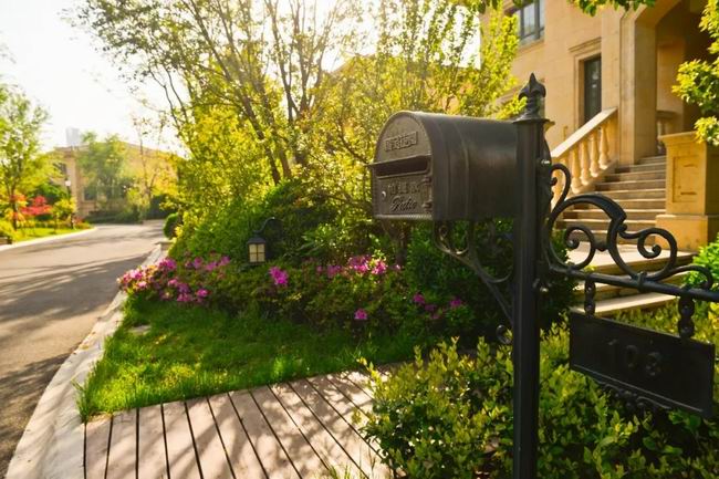 5月的国宝，，享受初夏的惬意时光